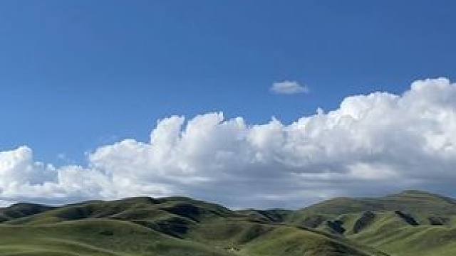 大自然的馈赠，羊群堵截，真的马路，神奇的世界#沿途风景随拍 #蓝天白云晴空万里