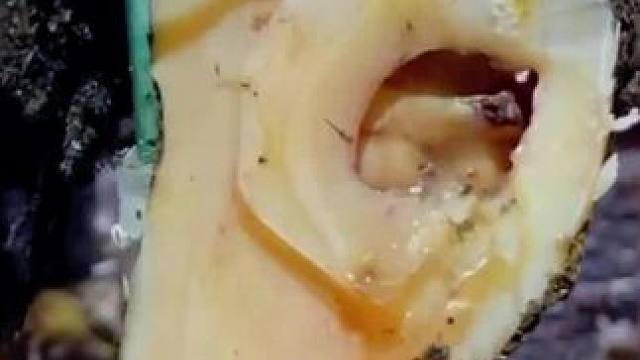 九块九省钱攻略~