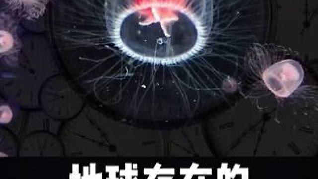 地球上5种长寿的生物，特别是最后一种，甚至能打破时间的限制 #科普 #涨知识 #探索地球 #动物寿命