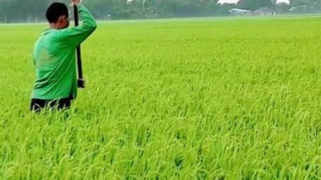 九块九省钱攻略~