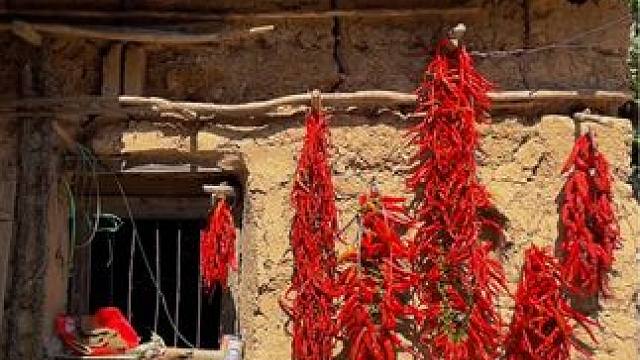 #农村老家 #原生态乡村生活 #乡村老屋 #惬意的农村生活 #乡村守护人