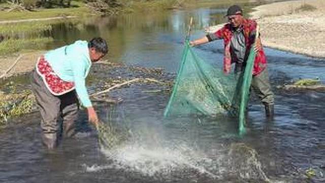 #户外捕鱼 #好多鱼