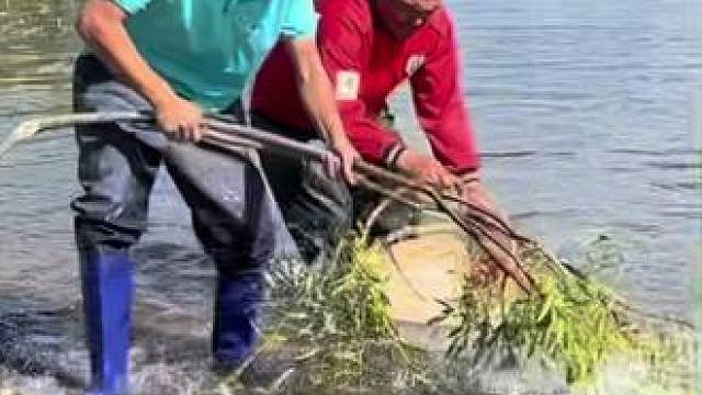 #户外捕鱼 #好多鱼