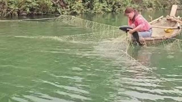 #农村捉鱼视频 #我的乡村生活 #野外生活纪录片