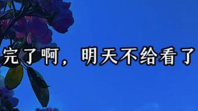 从万米高空降临漫播滴  小方总越来越娇了  
