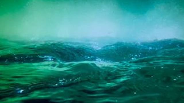 Let us all be water my friends.