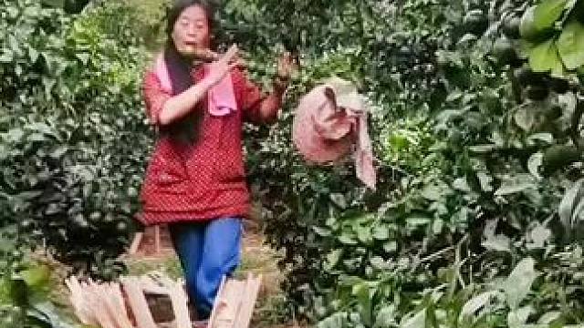 山卡卡里的农村大姐学费了开直播每天收获满满满您还在恐播怕播不敢开播开播了不知说什么吗#记录真实生活 