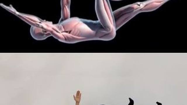 强化核心力量，改善腰部不适，还能#瘦肚子 #运动 #好身材练起来