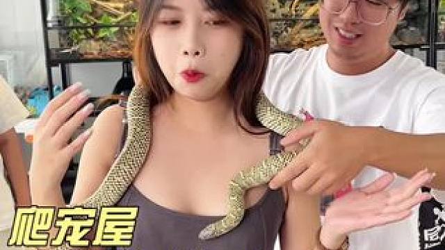 啊啊啊啊啊，好玩好玩哈哈哈#爬宠 #动物 #动物世界 #萌萌的小动物 #动物科普