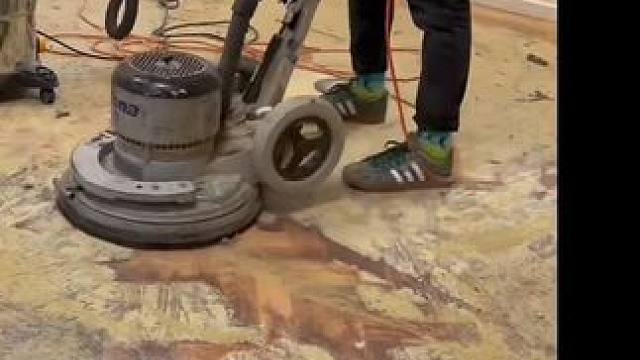 “退耕还林” 这胶水粘得够牢#国外视频分享 #解压 #极度舒适 #地毯 #木地板翻新