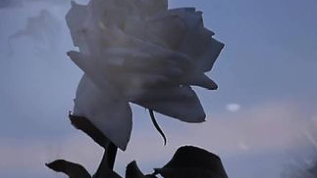 “他凭什么什么都不知道”双玄太虐了呜呜呜#天官赐福广播剧第二季完结 #天官赐福