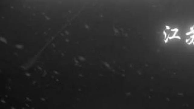 心中总有对你的牵挂，像愈合不了的疤. #音乐分享