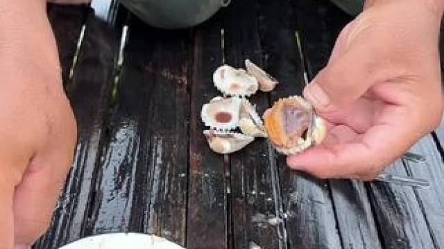 我的乡村生活 #东南亚美食 #东南亚矮子 #我的乡村生活