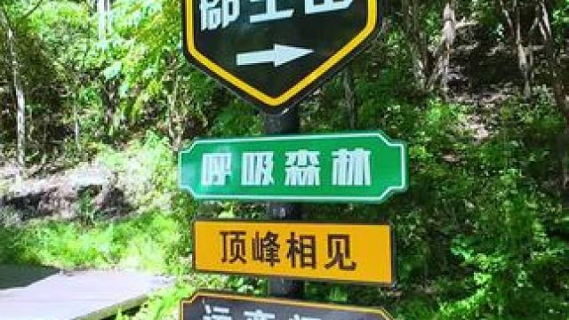 欢迎来到郡王山露营基地体验越野机车丛林穿越#哈尔滨露营地推荐 #旅行推荐官 #全地形越野车 #亲子户