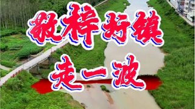 永安风光-第五十七期，用镜头和音乐的形式表达对家乡的热爱和思念，紫金风采，敬梓乡情#航拍家乡 #抖出