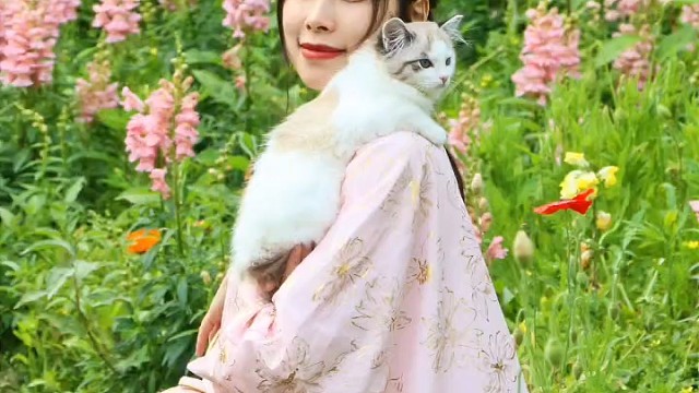 美女和猫