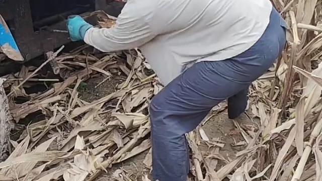 一般男人都干不了这个活