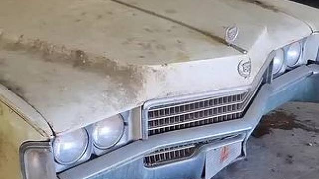 清洗40岁凯迪拉克#dou上热门 #是时候展现真正的技术了 #专业的事情交给专业人去做 #解压 #极