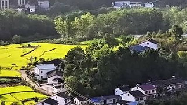 家乡的变化，秋天的风景。欢迎您来曾家山赏秋#一帧中国.大美广元#看身边变化讲广元故事 #美丽乡村 #