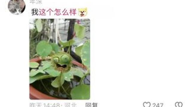 评论区摄影作品毒辣点评！#摄影作品点评 #摄影 #评论区摄影大赛 #摄影技巧 #摄影吐槽大会