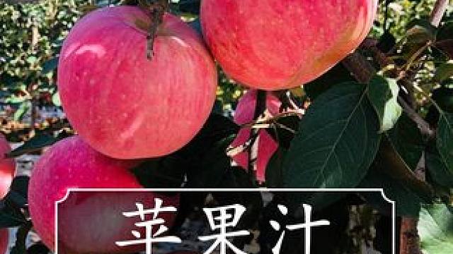 才这价就能到手足足5斤鲜榨苹果汁，大家赶紧薅！#苹果汁