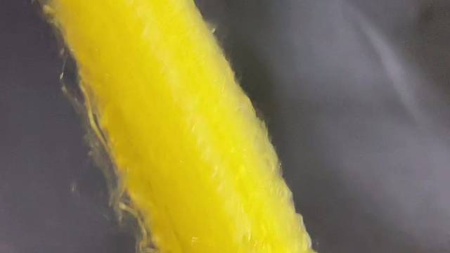 #私人定制 #黄金蜘蛛丝制衣 #手工制作 #匠心精神 #黄金蜘蛛丝制作各类古琴弦 #黄金蜘蛛丝可用于