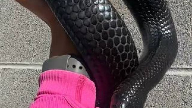 好漂亮的绳子 #国外视频分享 #奇妙的动物 #宠物