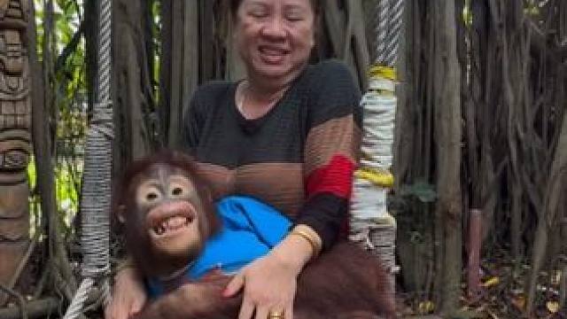 泰国网红猩猩与游客合影 #国外视频分享 #猴子成精 #泰国网红猩猩