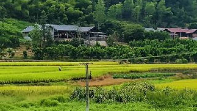 浪子身无分文也敢游走四方，游子空着行囊却不敢回到家乡！温水住了将军梦，现实压垮了少年朗，还有几天就过