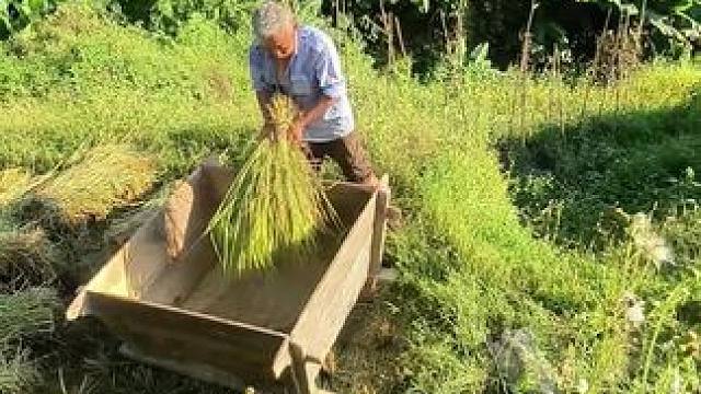年少不懂父母恩，懂得已是中年人。这辈子谁都不欠，唯独欠父母的，全世界都在催你长大，只有父母包容你的任