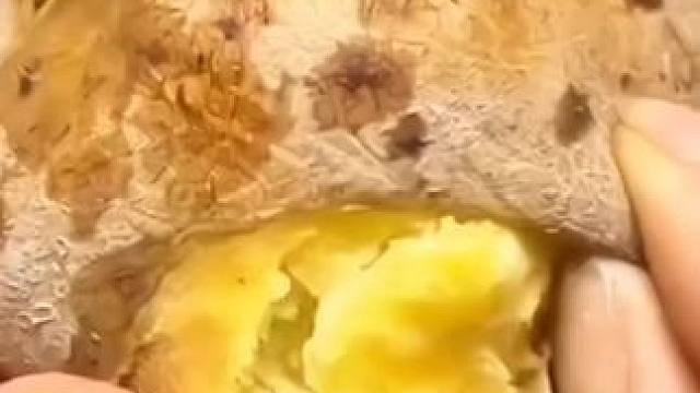 来大活动了!6.9就包邮5斤黄心沙面大土豆!快来抢一单!#土豆#大土豆#沙面土豆#黄心土豆#黄皮黄心