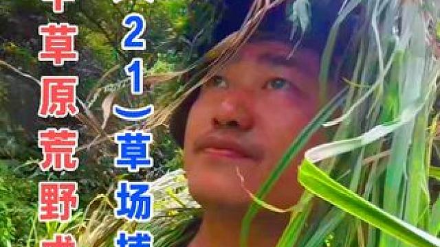 搜寻峡谷草场捉鸡 庇护所煮百合山药 云中草原荒野求生（21）草场捉鸡#野外生存 #荒野求生 #户外美