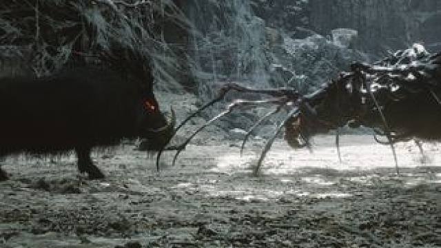 【黑悟空BVB】猪八戒VS紫蛛儿！你还是和那时一样...笨 #黑神话悟空  #单机游戏 #游戏推荐 