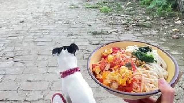 说住换个碗
熊我“喝不完喂狗 ”又咋了#乡愁记忆 #捞面条 #农村生活 #河南