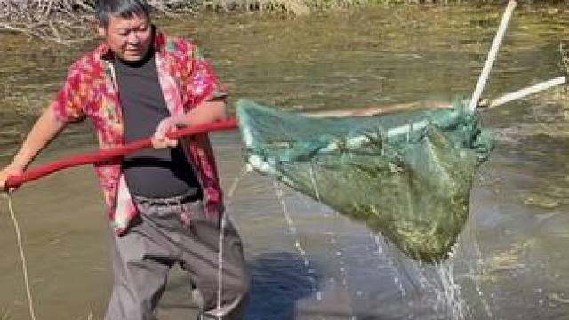 #户外捕鱼 #好大一条鱼