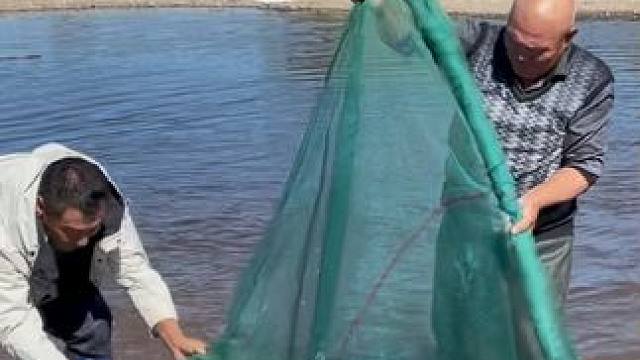 #户外捕鱼 #好大一条鱼