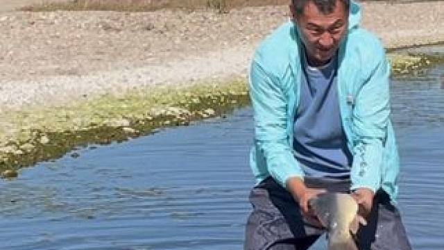 #户外捕鱼 #好大一条鱼