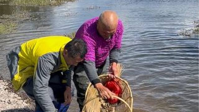 #户外捕鱼 #好多鱼