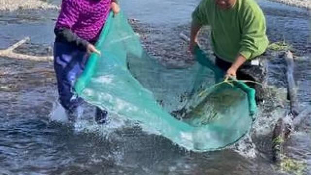 #户外捕鱼 #好多鱼