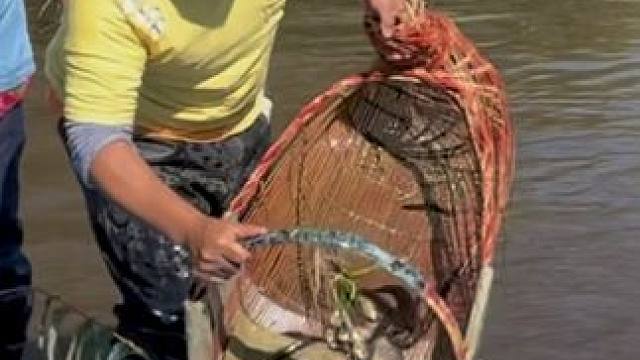 #户外捕鱼 #好多鱼