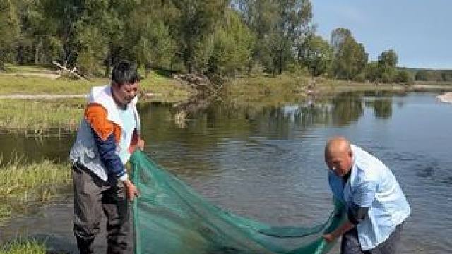 #户外捕鱼 #好多鱼