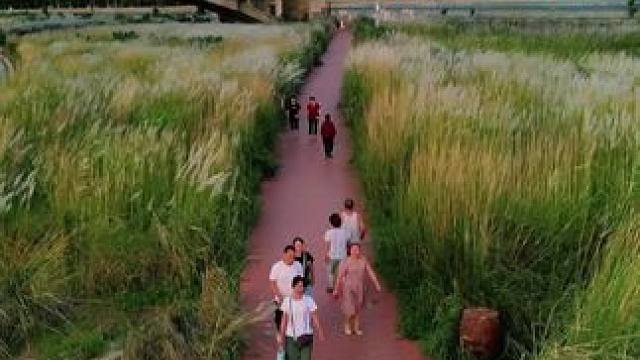 露从今夜白，月是故乡明。祝大家中秋节快乐！#中秋#一帧中国.大美广元  #看身边变化讲广元故事 #5