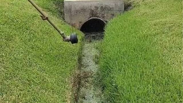 美国乡村的社区草地修剪工作！ #草坪修剪 #绿化工程 #除草视频解压 #极度舒适 #解压视频