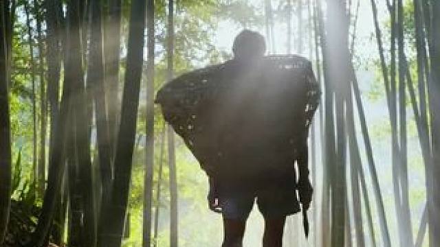 如今的放牛娃是刷着手机放牛，曾经的放牛娃已经变老！ #农村生活 #乡愁 #家乡特色 #乡野田间 #原