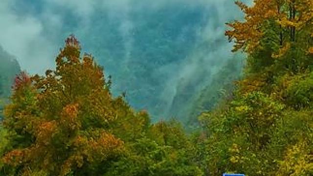 国道209（苏北线）湖北十堰市房县段沿途景色 #最美的风景在路上 #旅行推荐官 #神农架