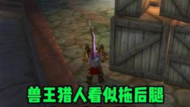 兽王猎人看似怂的很 实则大智若愚#魔兽世界 #巫妖王之怒  #魔兽世界勇士集结