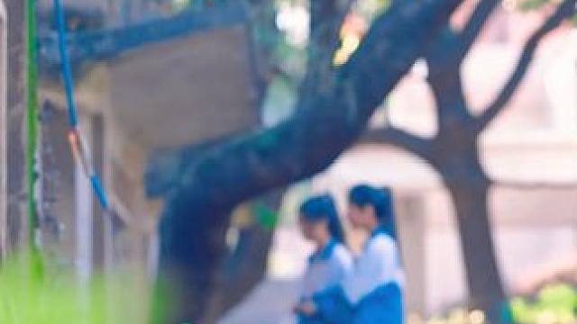 #双生花 #女人为了妹妹能安心上学忍痛撕毁了自己的清北录取通知书 #网剧甜甜的陷阱片段 