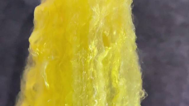 #黄金蜘蛛丝制衣 #医疗 #军工 #航天