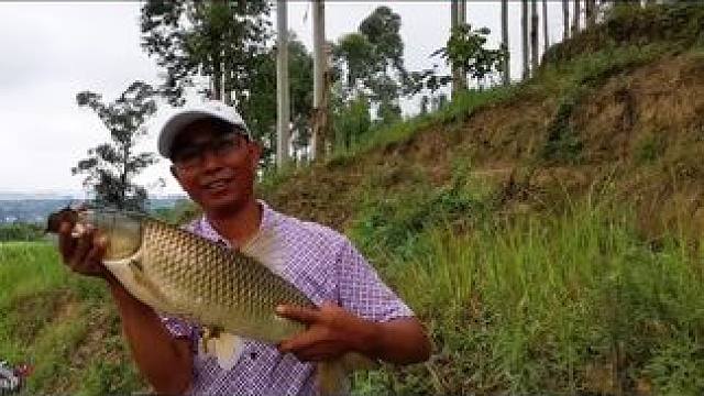 你意想不到的，鱼饵还有你意想不到的收获！ 你意想不到的，鱼饵
还有你意想不到的收获！
#秘制饵料 #