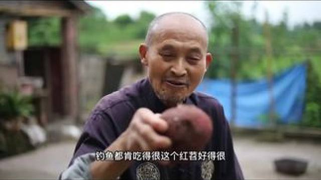 鱼能从人嘴里夺食你知道为什么吗？ 鱼能从人嘴里夺食
你知道为什么吗？
#秘制饵料 #鱼饵 #饵料窝料